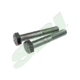 HEX HEAD CAP SCREW 6MMX40MM,10