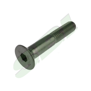 CAP SCREW F SOC HD (10MMX60MM) S.S.,1