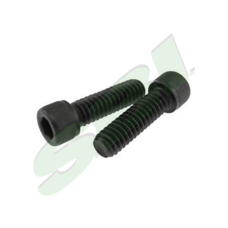 CAP SCREW H SOC HEAD (1/4-20 X 7/8") , 10